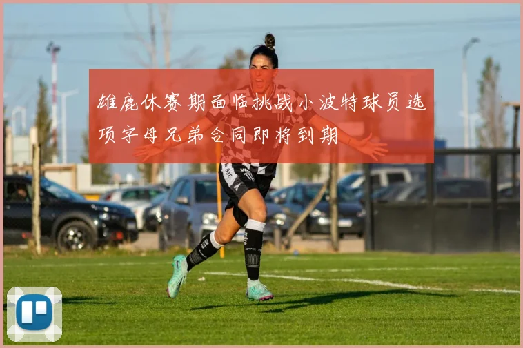 雄鹿休赛期面临挑战小波特球员选项字母兄弟合同即将到期