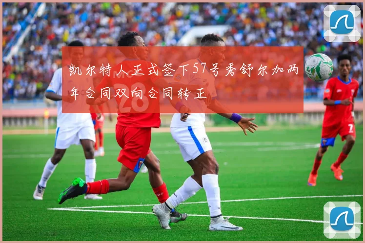 凯尔特人正式签下57号秀舒尔加两年合同双向合同转正